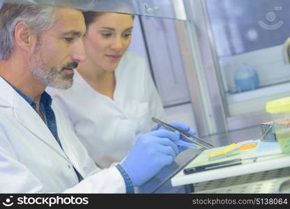 the laboratory technicians examining sample