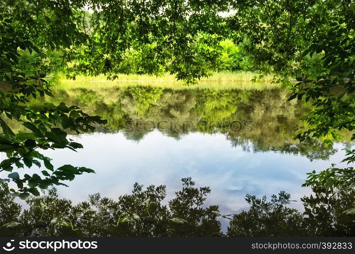 The lake is bordered by green foliage. Summer landscape. The concept of privacy travel and freedom. The lake is bordered by green foliage