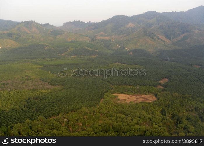 The Landscape airpictures of a field near the coastline by the city of Myeik in the south in Myanmar in Southeastasia.. ASIA MYANMAR BURMA MYEIK LANDSCAPE