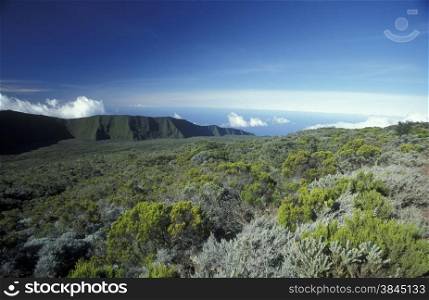 The Landscape allrond the Volcano Piton de la Fournaise on the Island of La Reunion in the Indian Ocean in Africa.