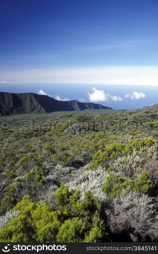 The Landscape allrond the Volcano Piton de la Fournaise on the Island of La Reunion in the Indian Ocean in Africa.