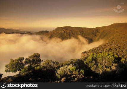 The landscape allround the Grand Bassin on the Island of La Reunion in the Indian Ocean in Africa.