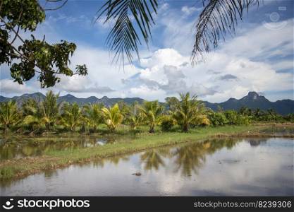 the Landscape and Fields near the Village of Kui Buri at the Hat Sam Roi Yot in the Province of Prachuap Khiri Khan in Thailand,  Thailand, Hua Hin, November, 2022. THAILAND PRACHUAP SAM ROI YOT LANDSCAPE