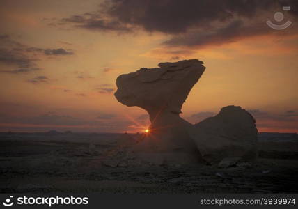 the Landscape and nature in the white desert near the village of Farafra in the lybian or western desert of Egypt in north africa. AFRICA EGYPT SAHARA FARAFRA WHITE DESERT