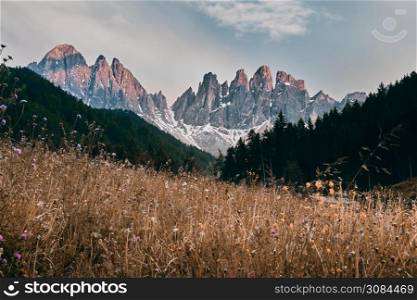 The landscape around Santa Magdalena Village. Located in Val di Funes, Dolomites area, Italy.