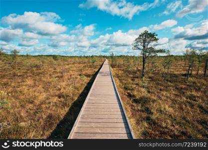 The landscape around walking path of Viru bog, one of the most accessible bogs in Estonia, Located in Lahemaa National Park