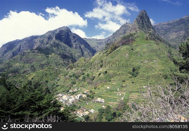 the landscape at the highland Ribeira da Janela on the Island of Madeira in the Atlantic Ocean of Portugal.. EUROPE PORTUGAL MADEIRA RIBEIRA DA JANELA