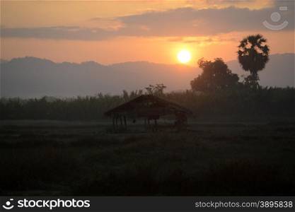 the landscape in the morning in a village near the city of Myeik in the south in Myanmar in Southeastasia.. ASIA MYANMAR BURMA MYEIK LANDSCAPE