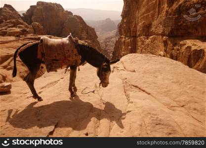 the landscape in the Temple city of Petra in Jordan in the middle east.. ASIA MIDDLE EAST JORDAN ETRA
