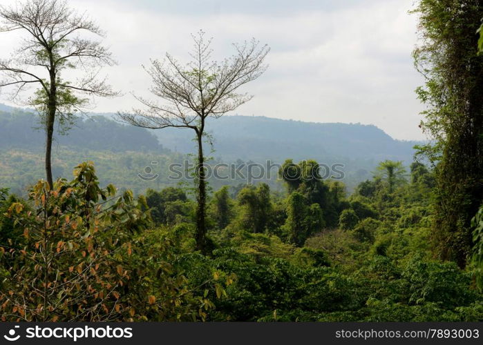 The Landscape near the Tempel Ruin of Kbal Spean 50 Km northeast of in the Temple City of Angkor near the City of Siem Riep in the west of Cambodia.. ASIA CAMBODIA ANGKOR KBAL SPEAN