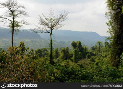 The Landscape near the Tempel Ruin of Kbal Spean 50 Km northeast of in the Temple City of Angkor near the City of Siem Riep in the west of Cambodia.. ASIA CAMBODIA ANGKOR KBAL SPEAN