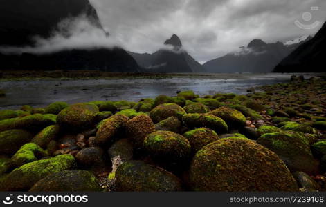 The Landscape of Milford Sound, New Zealand
