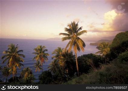 the landscape on the coast of the village Moya on the Island of Anjouan on the Comoros Ilands in the Indian Ocean in Africa. . AFRICA COMOROS ANJOUAN