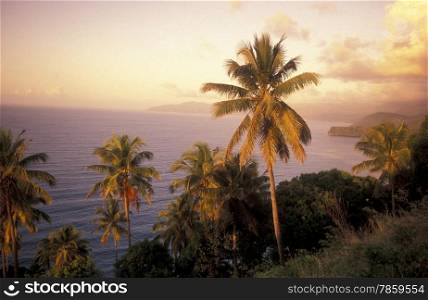 the landscape on the coast of the village Moya on the Island of Anjouan on the Comoros Ilands in the Indian Ocean in Africa. . AFRICA COMOROS ANJOUAN