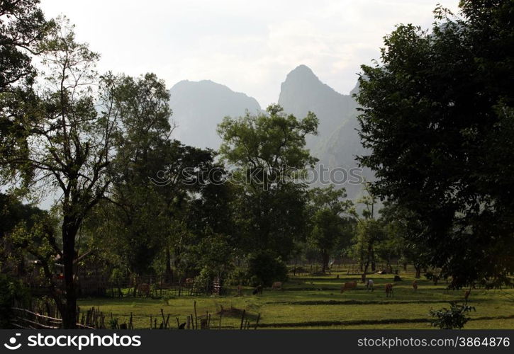 the landscape on the road12 bedwen the Towns of Tha Khaek and the Village of Mahaxai Mai in central Lao in the region of Khammuan in Lao in Souteastasia.. ASIA LAO KHAMMUAN REGION