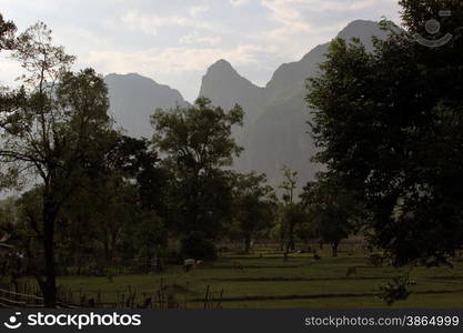 the landscape on the road12 bedwen the Towns of Tha Khaek and the Village of Mahaxai Mai in central Lao in the region of Khammuan in Lao in Souteastasia.. ASIA LAO KHAMMUAN REGION