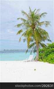 The landscape the island of Biyadhoo Maldives the beach with white sand