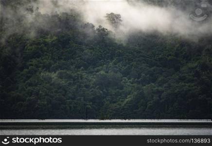 the landscape view of tropical rain forest, nature scene