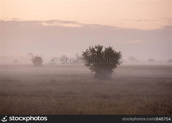 the Landscape wit fog at sunset near the city of Phitsanulok in the north of Thailand. Thailand, Phitsanulok, November, 2018.. THAILAND PHITSANULOK LANDSCAPE