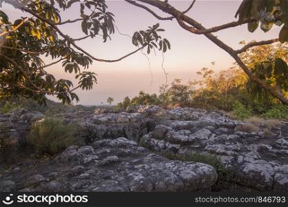 The Landscape with Forest and Rock formations at the Phu Hin Rong Kla national park near the city of Phitsanulok in the north of Thailand. Thailand, Phitsanulok, November, 2018.. THAILAND PHITSANULOK NATIONAL PARK