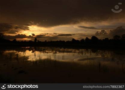 the landscape with ricefields near the city of Amnat Charoen in the Provinz Amnat Charoen in the northwest of Ubon Ratchathani in the Region of Isan in Northeast Thailand in Thailand.&#xA;