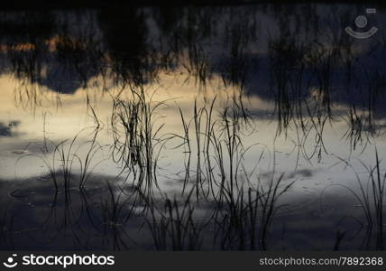 the landscape with ricefields near the city of Amnat Charoen in the Provinz Amnat Charoen in the northwest of Ubon Ratchathani in the Region of Isan in Northeast Thailand in Thailand.&#xA;