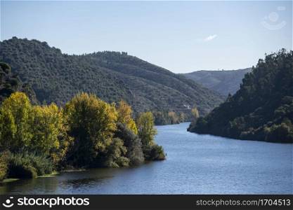 The landscape with the Rio Tejo at the Town of Belver in Alentejo in Portugal. Portugal, Belver, October, 2021