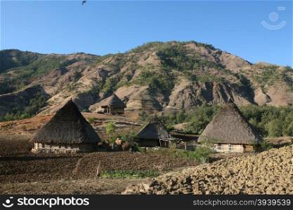 The Landscape with traditioal houses at the village of Moubisse in the south of East Timor in southeastasia.&#xA;