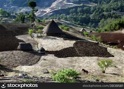 The Landscape with traditioal houses at the village of Moubisse in the south of East Timor in southeastasia.&#xA;