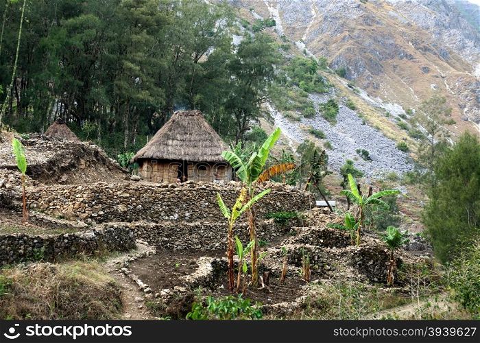 The Landscape with traditioal Houses at the village of Moubisse in the south of East Timor in southeastasia.&#xA;