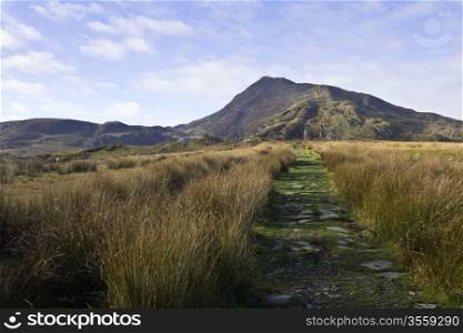 The leading to the mountain Moel Siabod in Snowdonia national park Wales