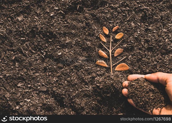 The leaves on the loose soil and with the hands of a man pouring the soil on, the idea of planting trees for the environment.