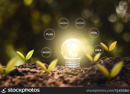 The light bulb is illuminating the ground and seedlings are growing all around, financial growth ideas.
