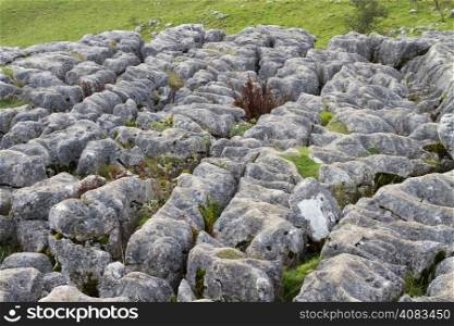 The limestone pavement above Malham Cove in the Yorkshire Dales National Park, England on 5 November 2011.