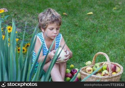 the little boy is harvesting the fall harvest in the garden