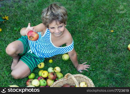 the little boy is harvesting the fall harvest in the garden