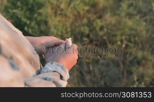 The little girl breaks the sandwich into two parts. Close-up of children&acute;s hands and a sandwich. Sunset.