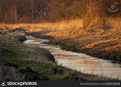 The little river Uherka flowing through the meadows next to the forest, march day, Stankow, Poland