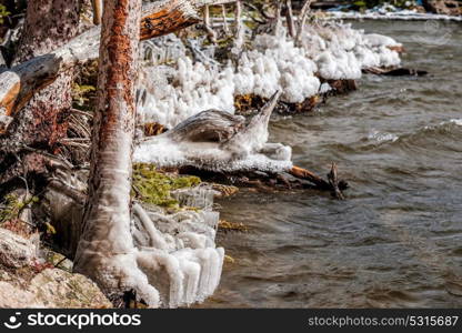 The Loch Lake at autumn. Icicles on trees and grass created by wind and water. Rocky Mountain National Park in Colorado, USA.