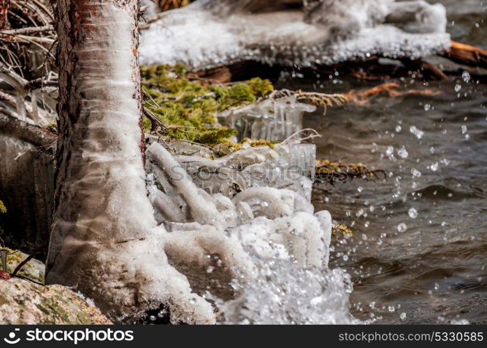 The Loch Lake at autumn. Icicles on trees and grass created by wind and water. Rocky Mountain National Park in Colorado, USA.