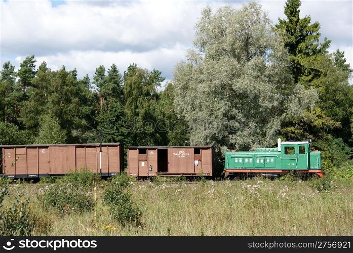 The locomotive and freight cars on a background of green trees