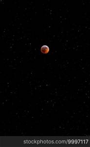 The lunar eclipse taken early 2019 in front of a field of stars.