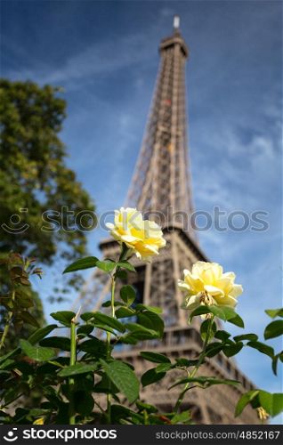 The main attraction of Paris - The Eiffel Tower