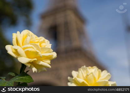 The main attraction of Paris - The Eiffel Tower