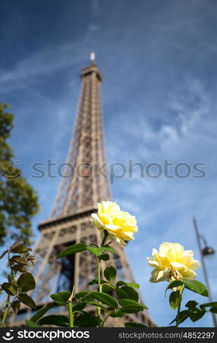 The main attraction of Paris - The Eiffel Tower