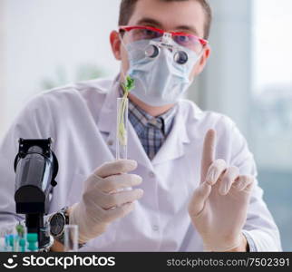 The male biochemist working in the lab on plants. Male biochemist working in the lab on plants