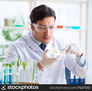 The male biochemist working in the lab on plants. Male biochemist working in the lab on plants