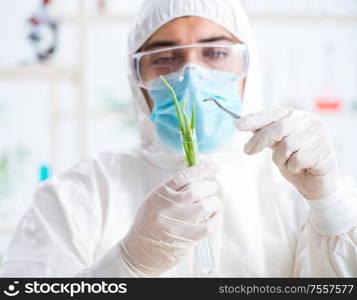 The male biochemist working in the lab on plants. Male biochemist working in the lab on plants