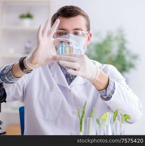 The male biochemist working in the lab on plants. Male biochemist working in the lab on plants