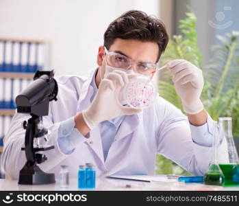 The male doctor working in the lab on virus vaccine. Male doctor working in the lab on virus vaccine